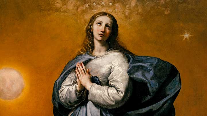 Por que é importante a virgindade perpétua de Maria?