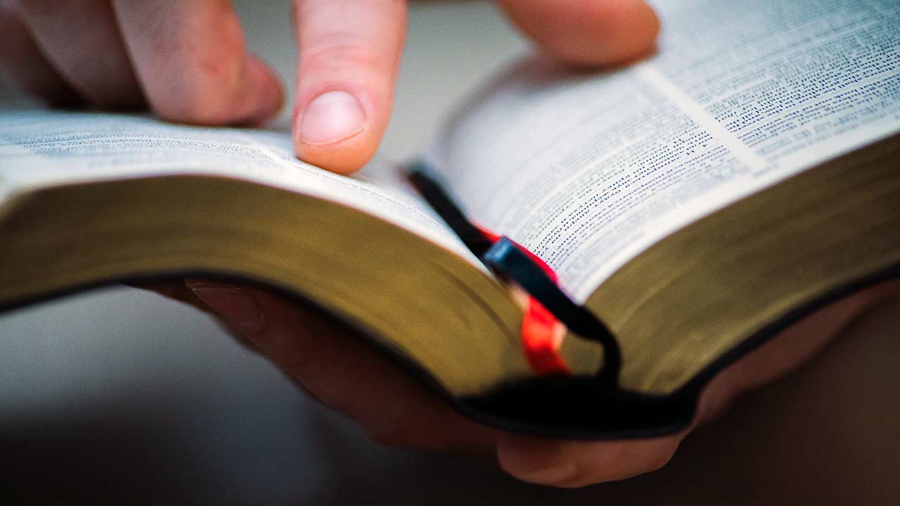 Quais são os passos da “Lectio Divina”?