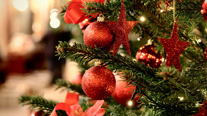 A árvore de Natal é pagã ou cristã?
