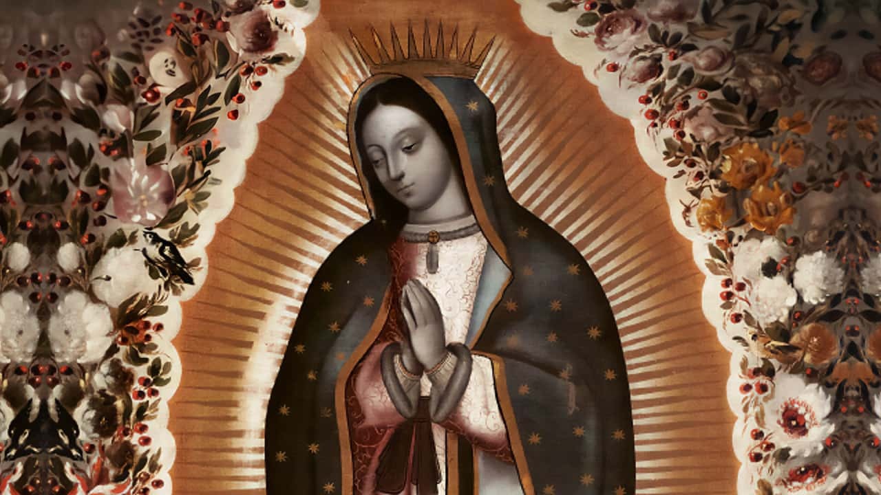 Guadalupe: uma catequese de Maria aos latino-americanos