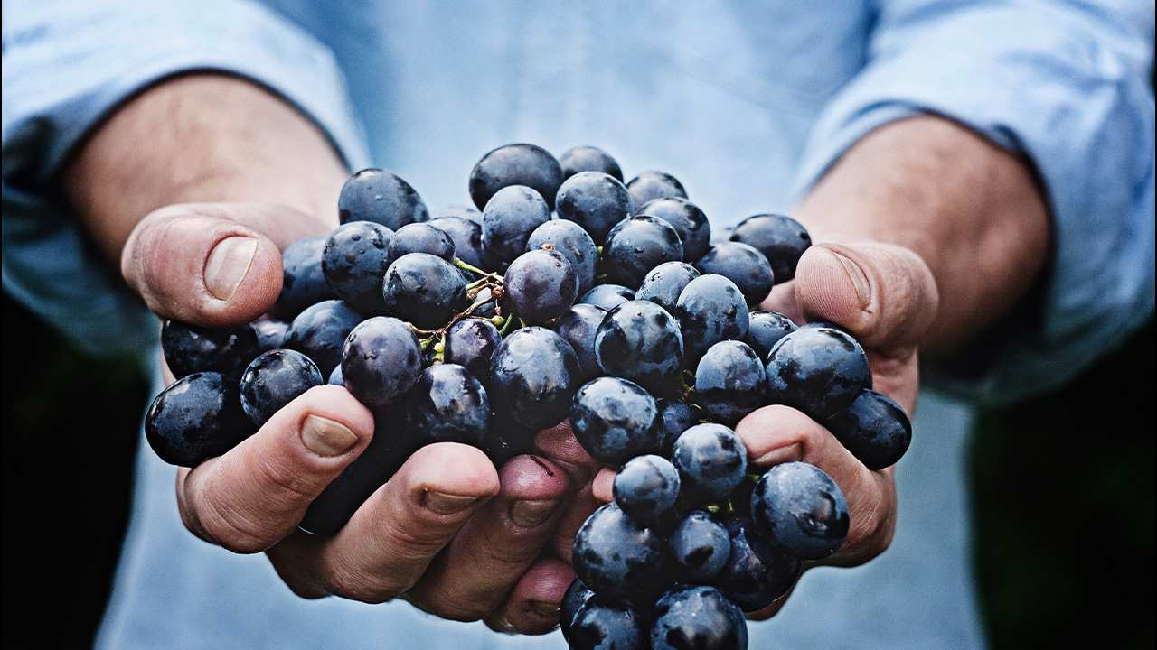 Sem ser podados, não produzimos frutos