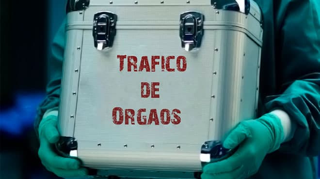 Imagens chocantes denunciam tráfico de órgãos de bebês humanos nos EUA