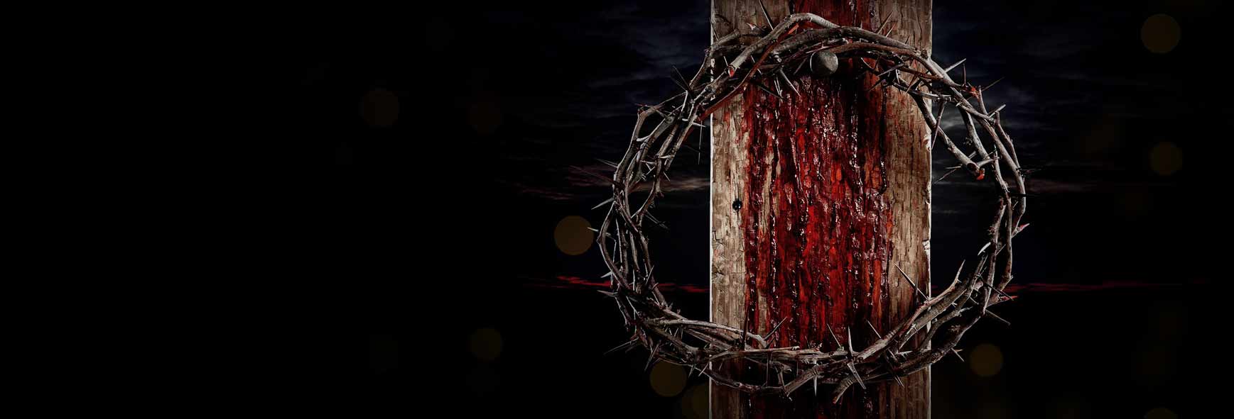 Venerar, imitar e invocar o Preciosíssimo Sangue