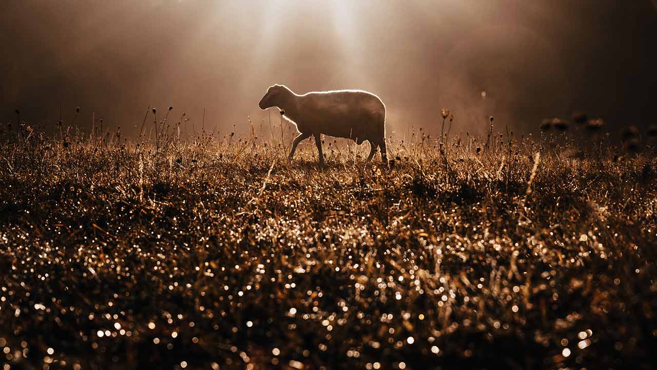 A “páscoa” da alma