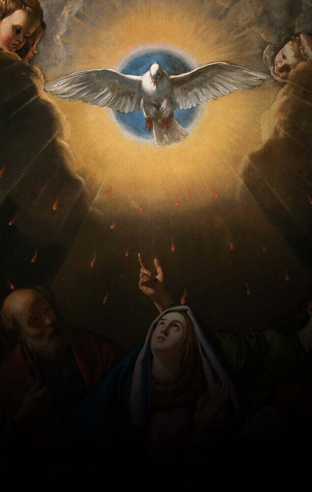 Nestes nove dias que antecedem a Solenidade de Pentecostes, Padre Paulo Ricardo nos convida a fazer um verdadeiro retiro espiritual.