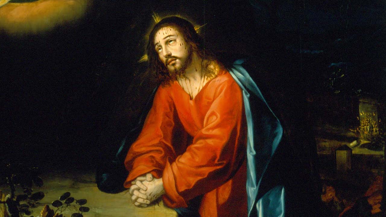 Cristo e a visão beatífica 
