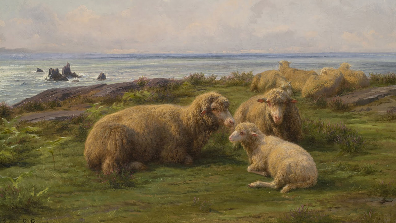 Como ovelhas sem pastor  
