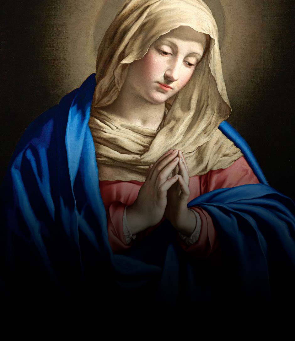 Santa Teresa Benedita da Cruz