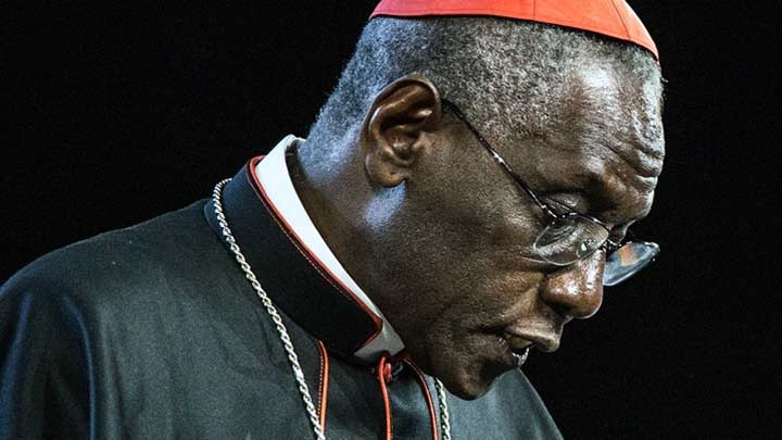 Moral católica e contracepção: o Cardeal Sarah se pronuncia