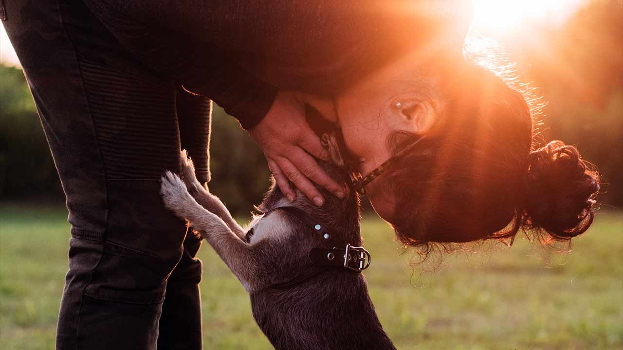 Filhotes não são bebês, e “mães de pet” não são mães