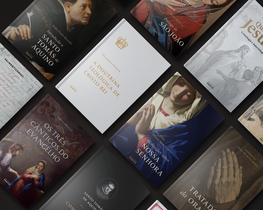 Capas dos livros da biblioteca digital